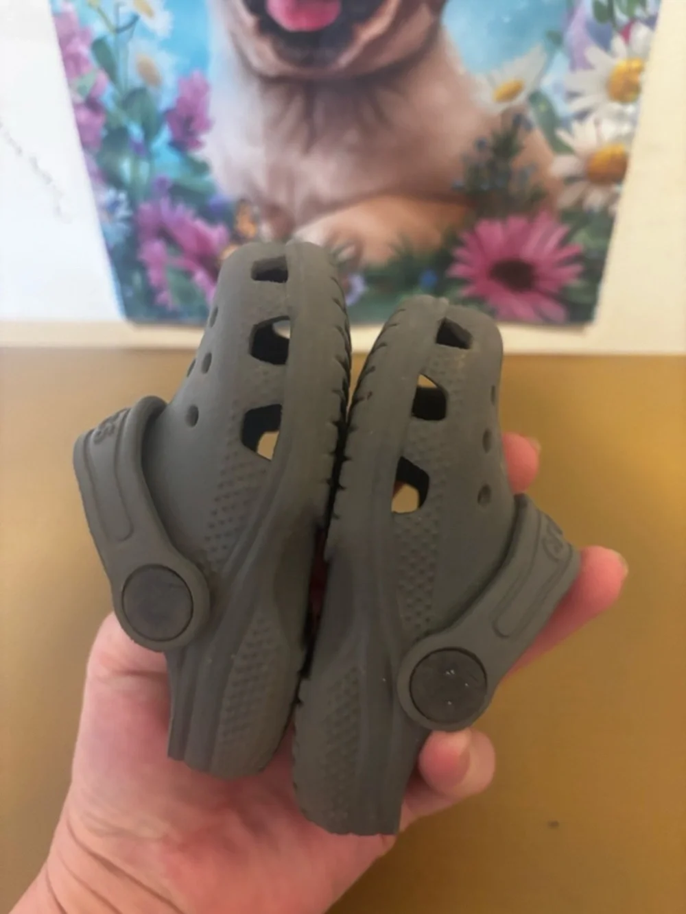 CROCS Kids Classic Clog - Gray C5